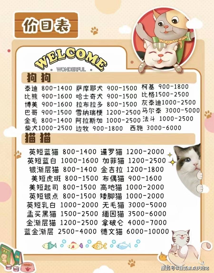 在这个熙攘繁忙的市场里,出售的宠物品种丰富多样,应有尽有.