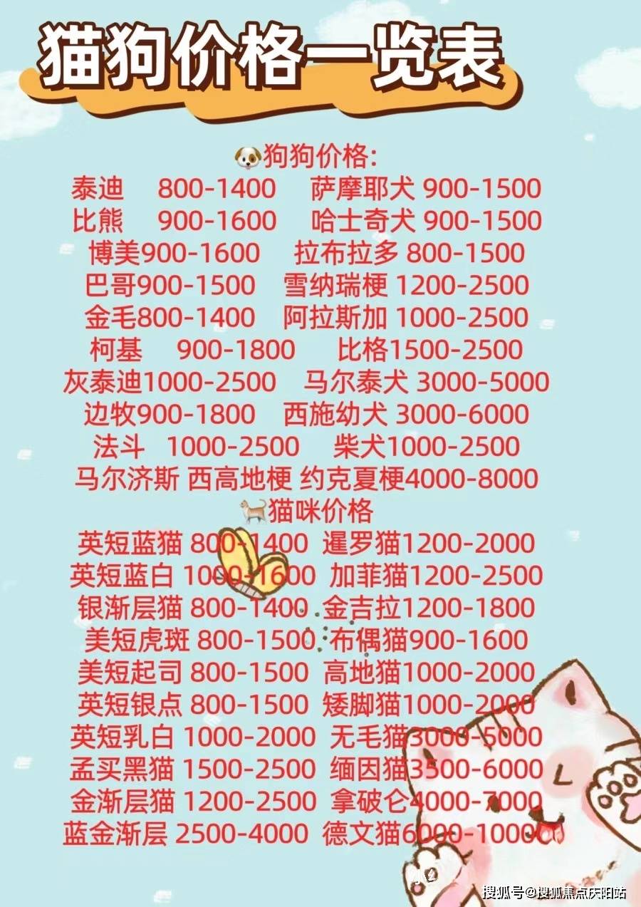 蓝色金渐层,白色金渐层,银色金渐层,蓝色白色,蓝色猫咪,奶油色猫咪