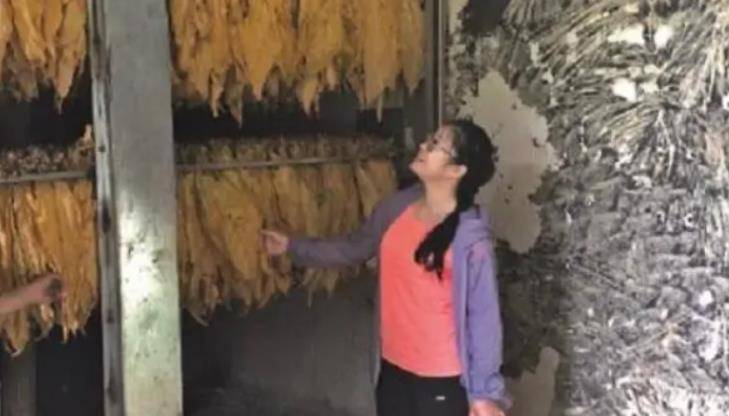 原创感动中国黄文秀大山里的北大博士放弃高薪去扶贫牺牲时仅30岁