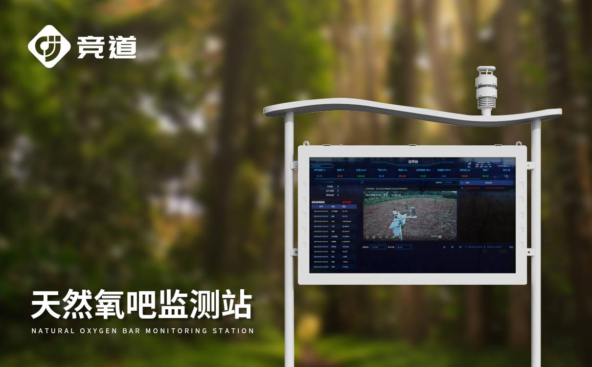 林区负氧离子监测系统