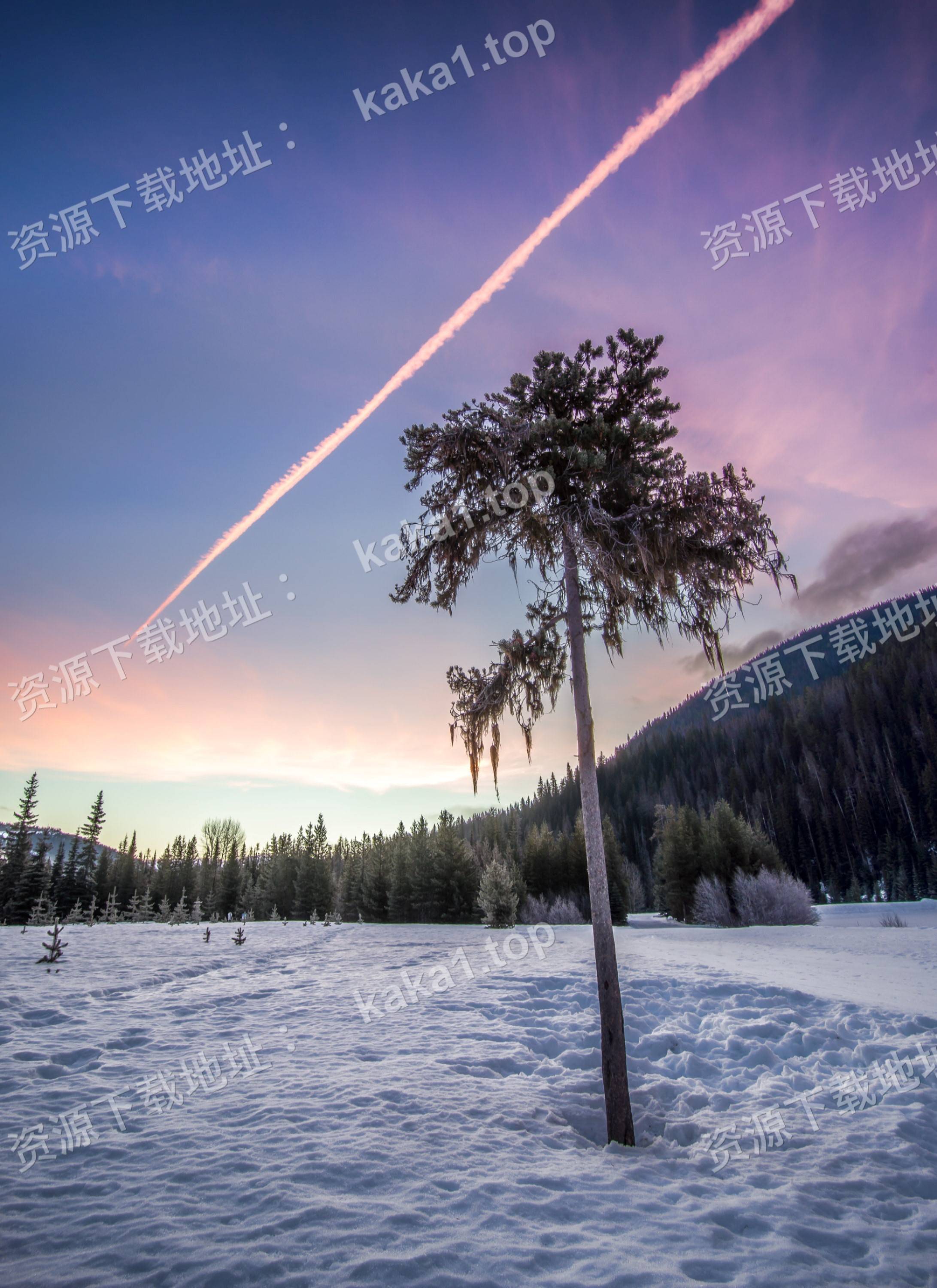 cad制图安装包下载autocad2022软件安装包cad2022版本下载cad制图软件