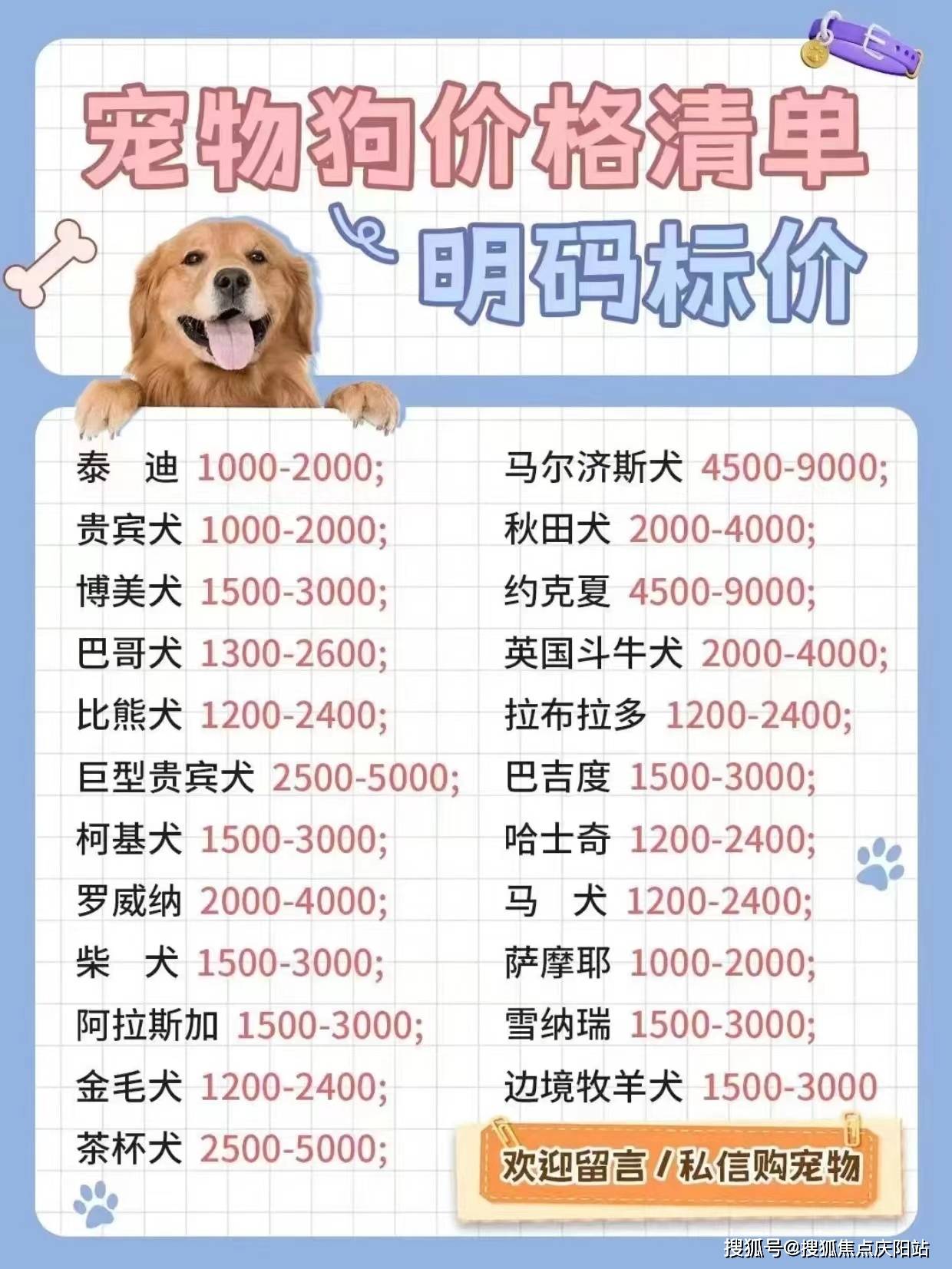 一介绍,支持提前预约线下实体店一对一挑选宠物,济南正规犬舍猫舍基地