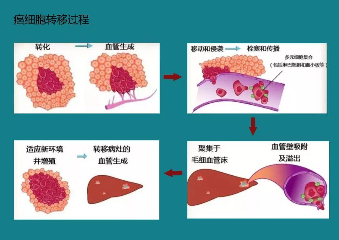 在这些致癌因素的催发下