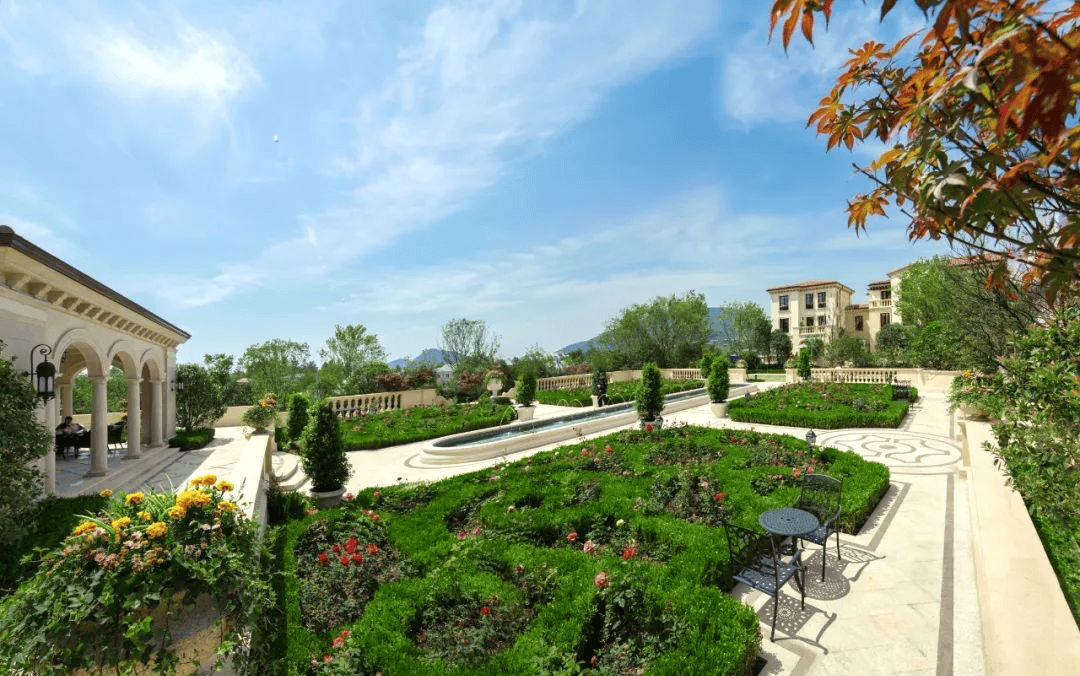 杭州(青山湖玫瑰园)首页网站丨青山湖玫瑰园欢迎您丨玫瑰园丨楼盘详情