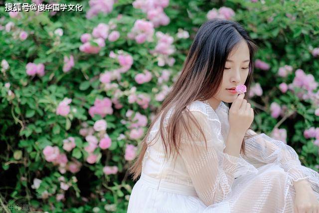四柱排盘,乾造:壬戌年,戊申月,甲戌日,丁卯时,事业和财运走向,什么