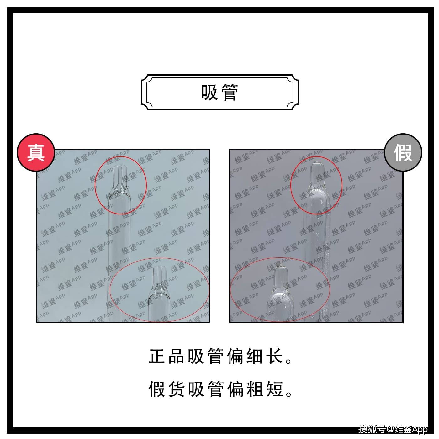 我是小维,专注美妆鉴别,化妆品批号查询!为正品保驾护航