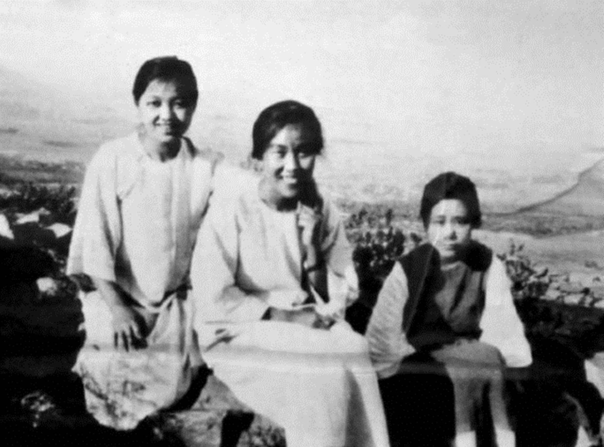 邓颖超给林巧稚介绍对象林巧稚笑着说谁让你们不早点来解放我