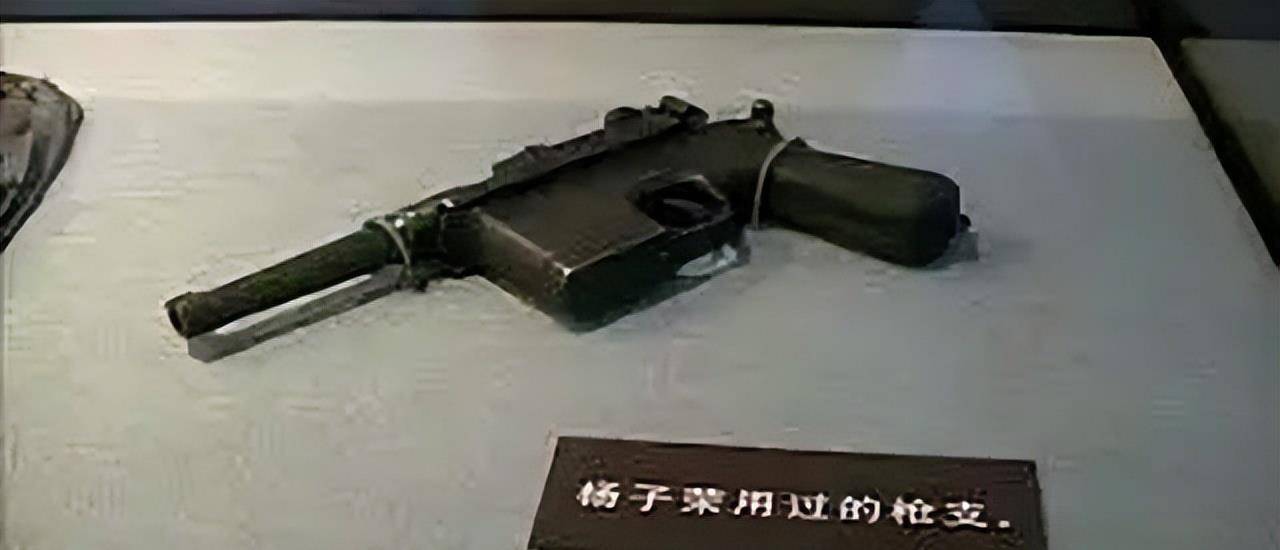 原创杨子荣的过继儿子杨克武2004年一纸诉讼将林海雪原告上法庭