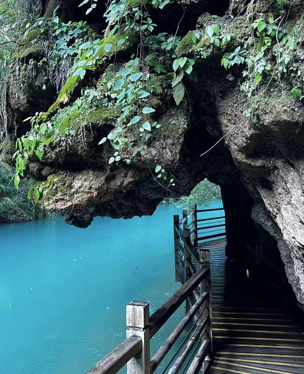 从南京到张家界旅游攻略!_景区_天门_预算