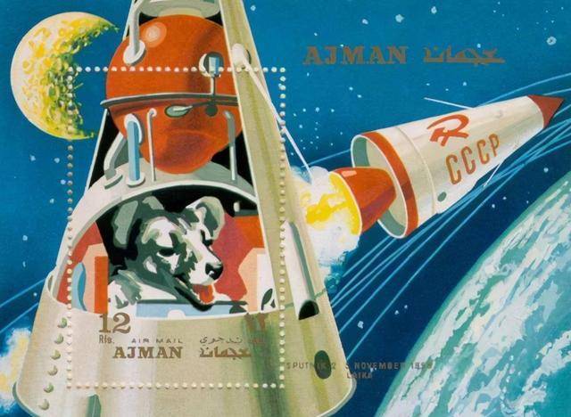 1957年宇宙汪莱卡第一只被送入太空的狗结局如何了