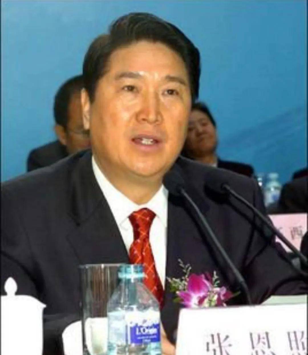 王雪冰出事后,张恩照出任行长.