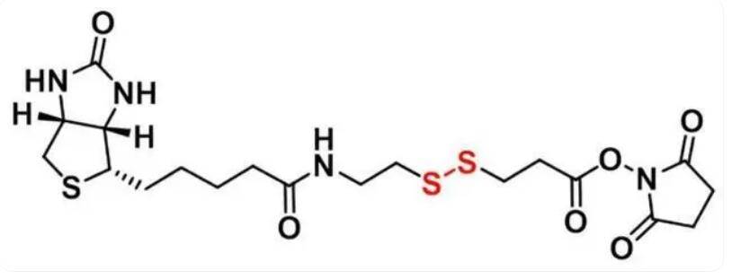 結構式品牌名稱:陝西新研博美生物科技有限公司規格標準:5mg,10mg,25