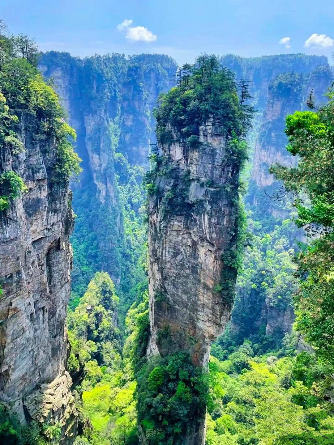 张家界五日游旅行社报价,看完从此不迷路_行程_景点_day
