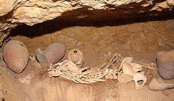 龙是否真实存在6000年古墓有新发现刷新人类对龙的认知