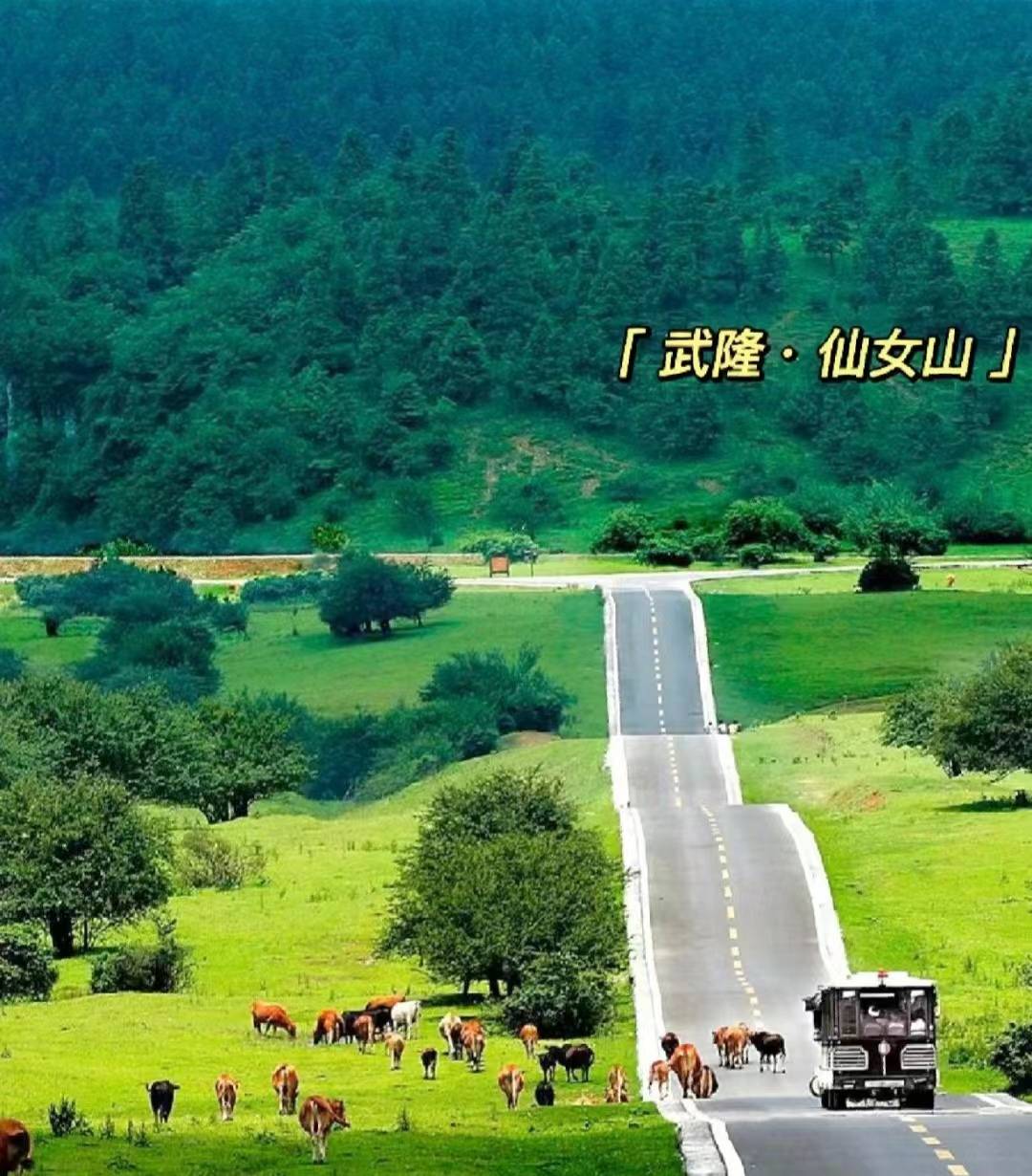 【第二站】:仙女山大草原>满城尽带黄金甲拍摄基地>武隆武隆天生三桥