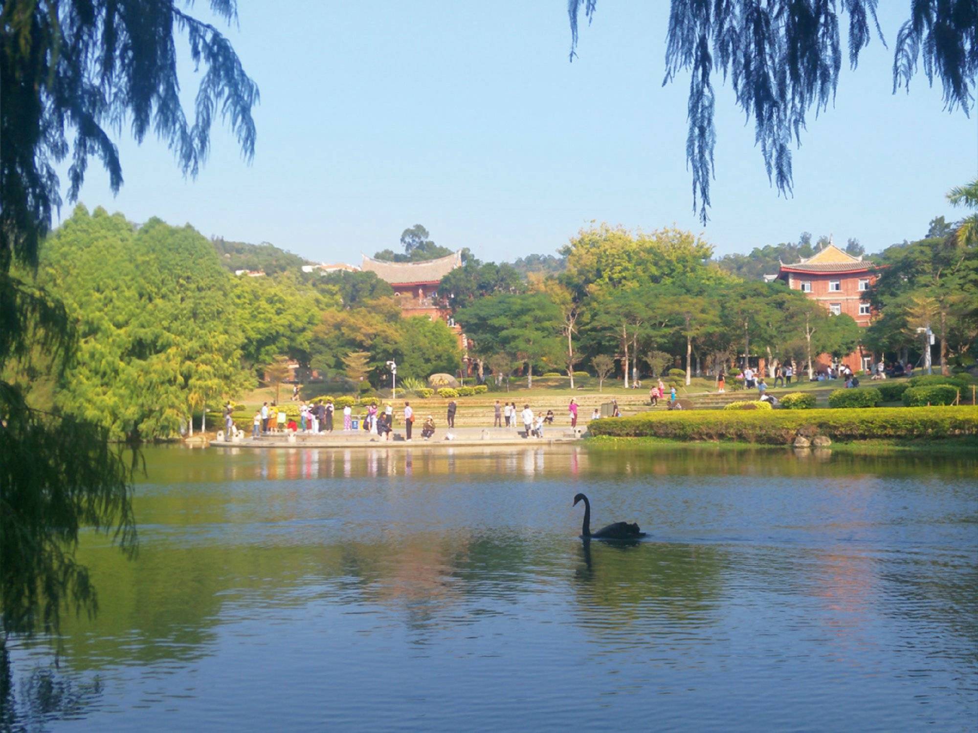 厦门必去旅游景点丰富多样,从岛内的鼓浪屿,南普陀,中山路,到岛外的