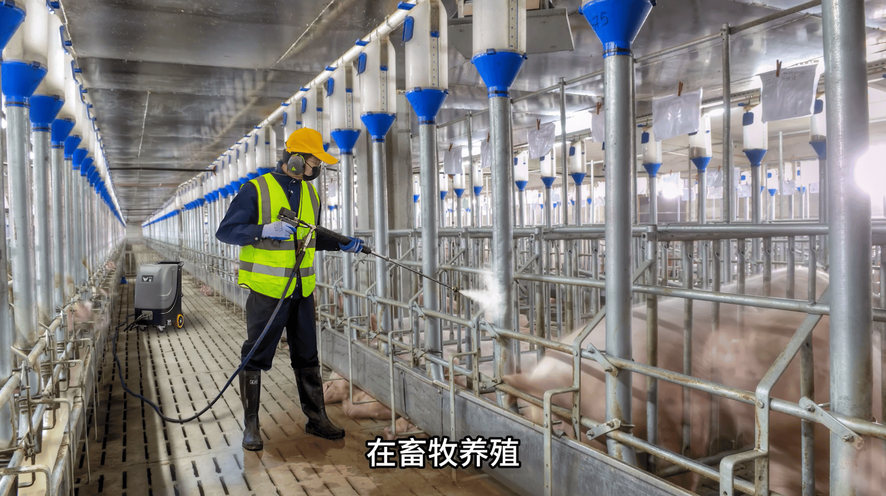 热水高压清洗机:畜牧养殖场的日常清洗利器,保障动物健康