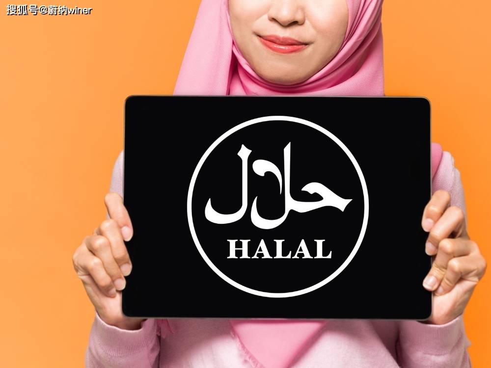 国际halal认证图片