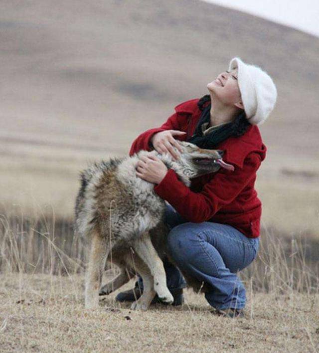 2010年,成都女孩养狼做"儿子",11年后结局催人泪下_李微漪_格林_狼