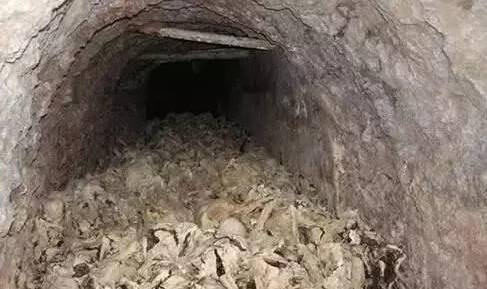 山西一山洞里面尸体成堆骸骨遍地考古专家说出一段残酷的历史
