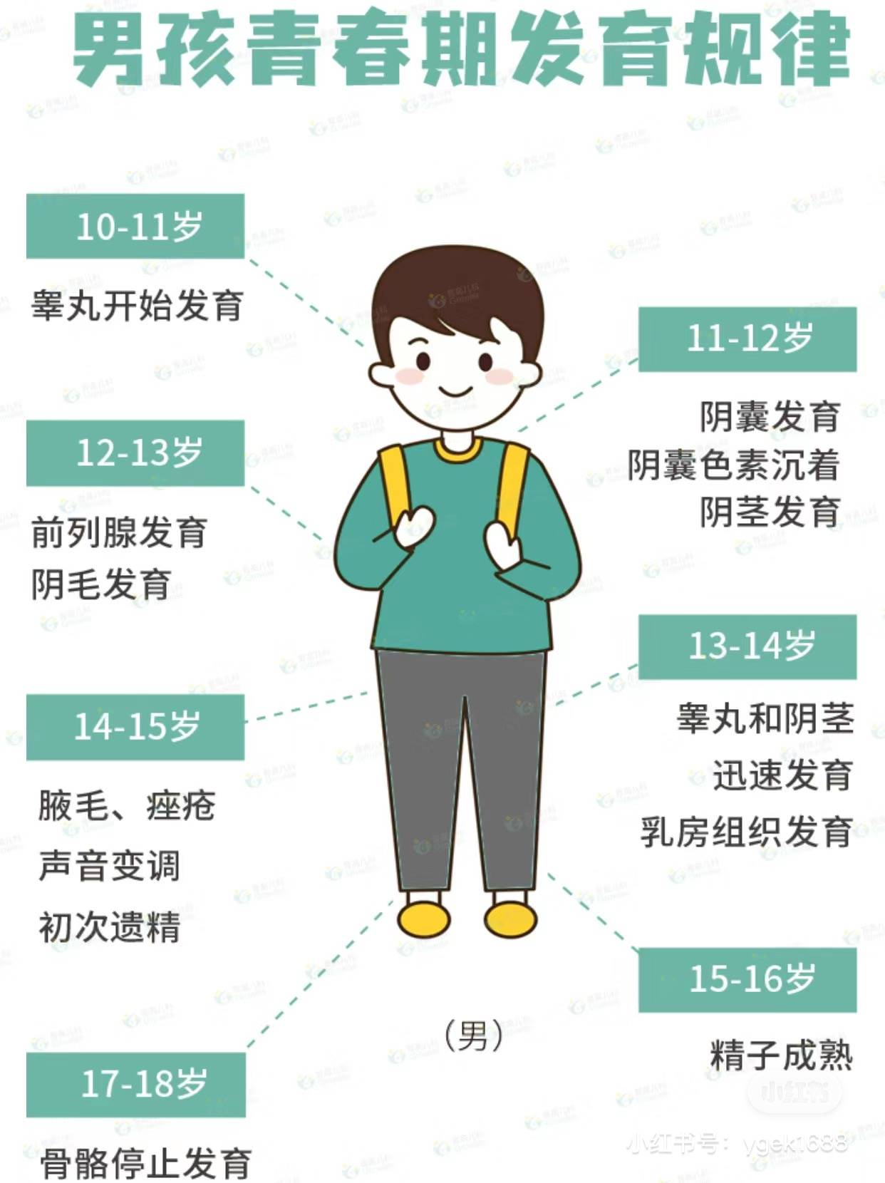 男孩的青春启动期通常年龄在10-14岁之间.
