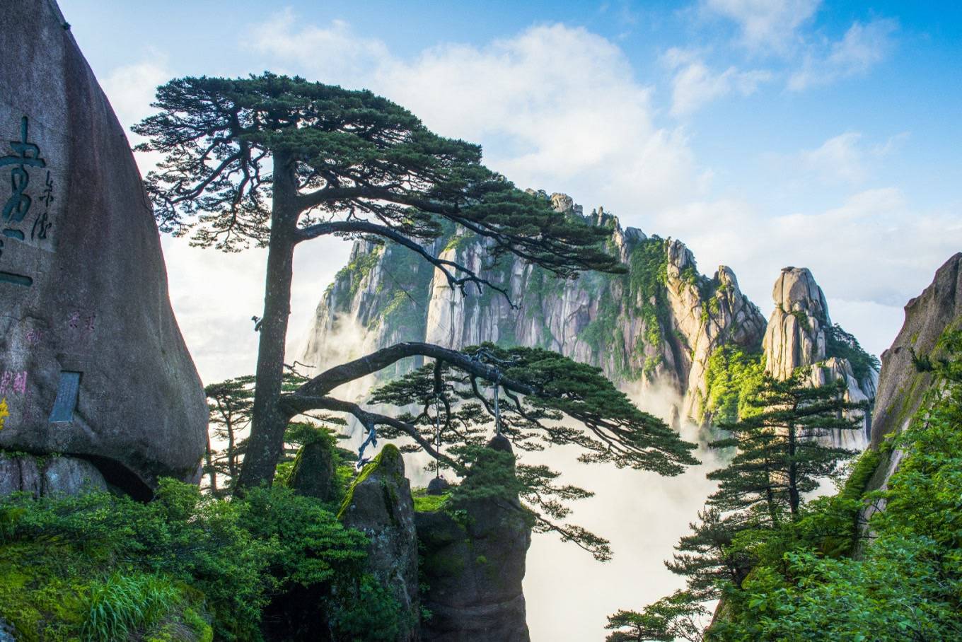 带孩子去黄山旅游四天最佳线路方案,黄山4日游跟团需要多少钱,不踩雷