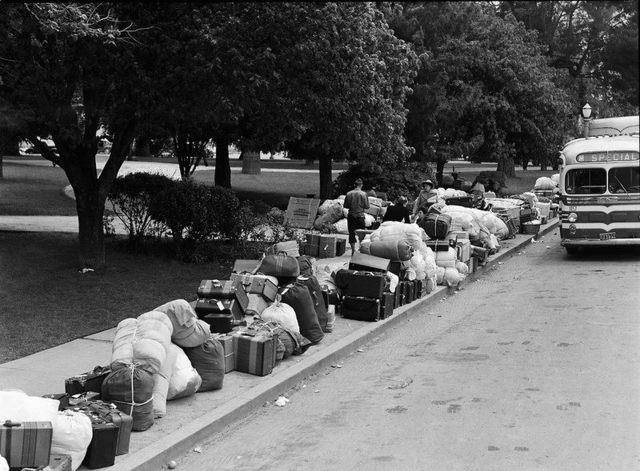 二战中美国将11万日裔公民关进集中营财产全没收