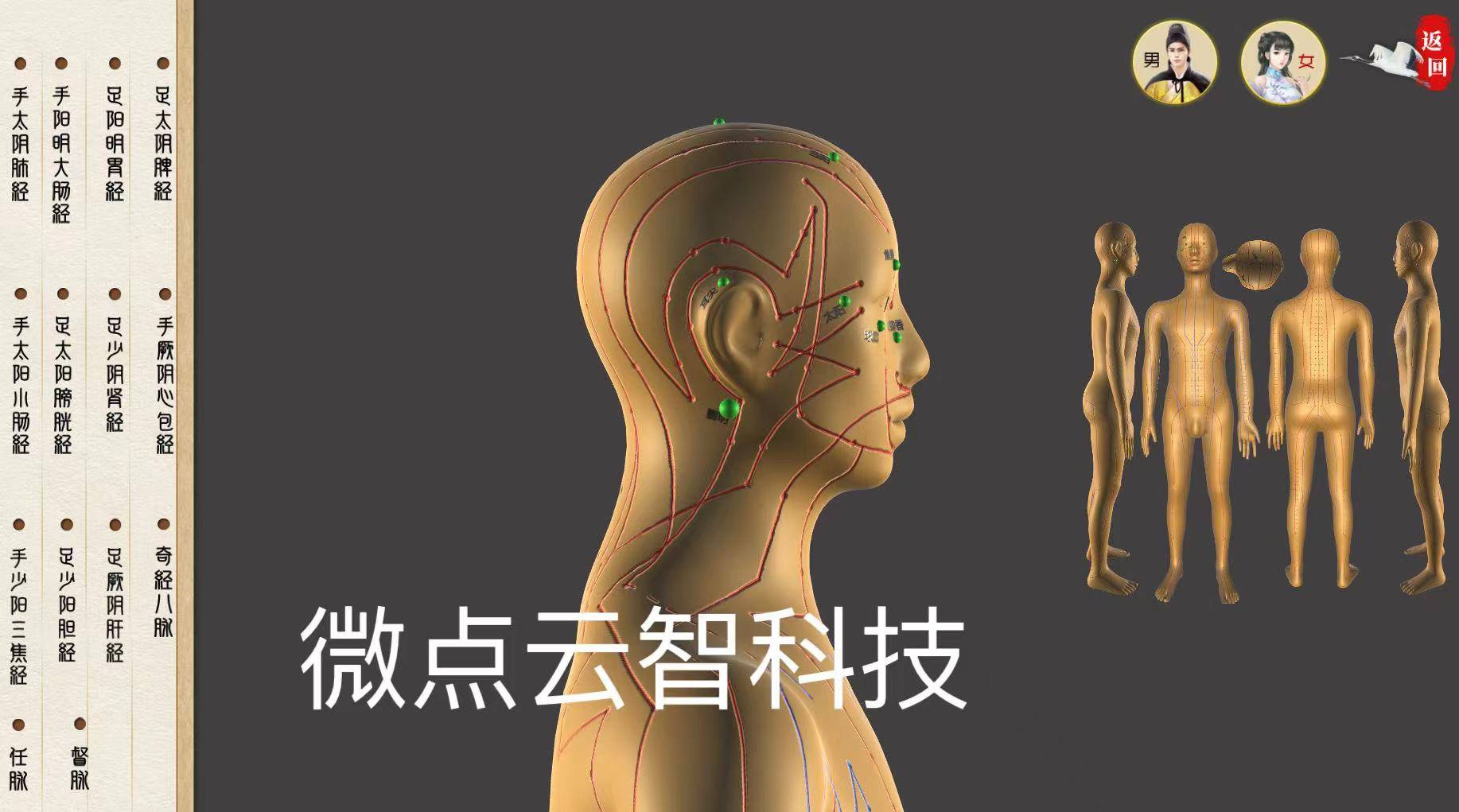 中医针灸虚拟仿真:先进虚拟现实技术和人工智能技术的医学教育工具