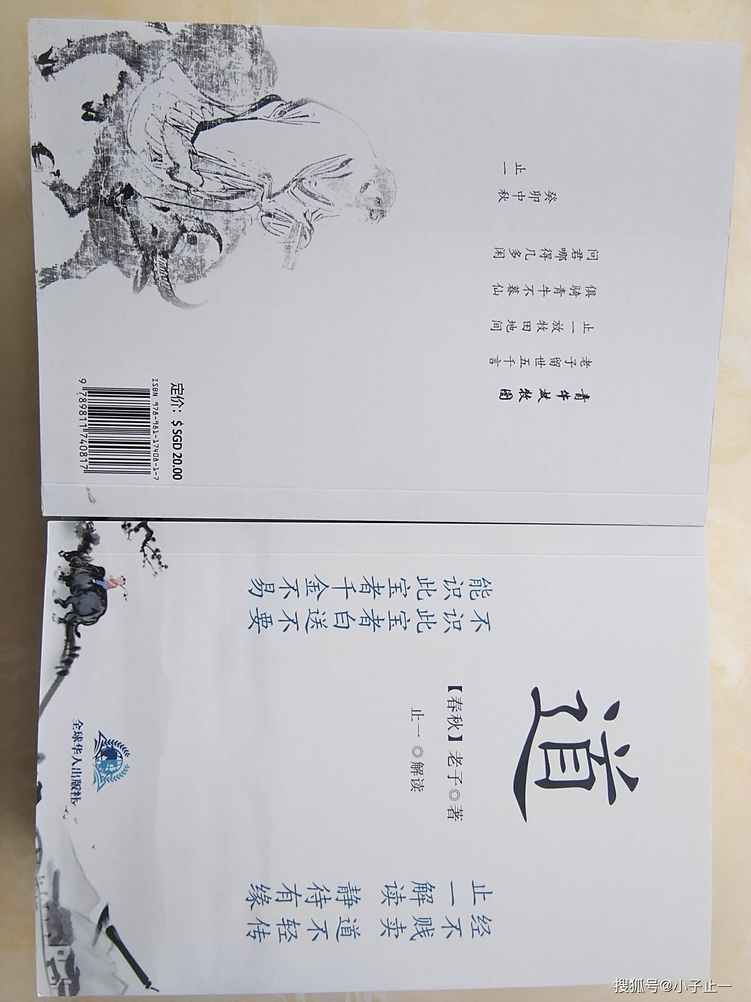 止一日记:一不小心又犯错了!