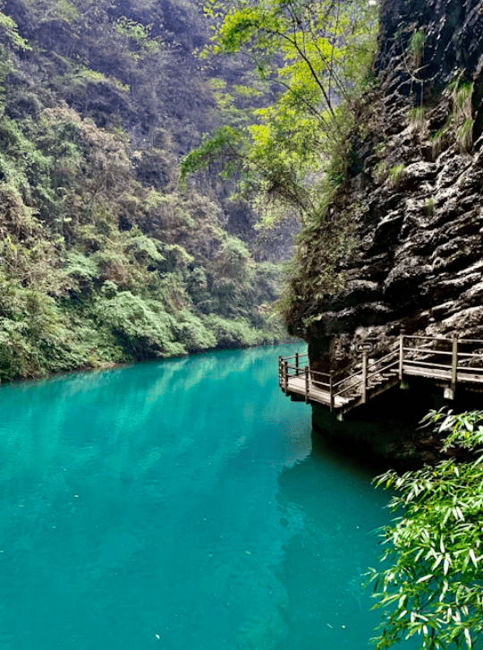 张家界旅游有什么好玩的地方张家界金牌靠谱导游介绍_景点_大自然