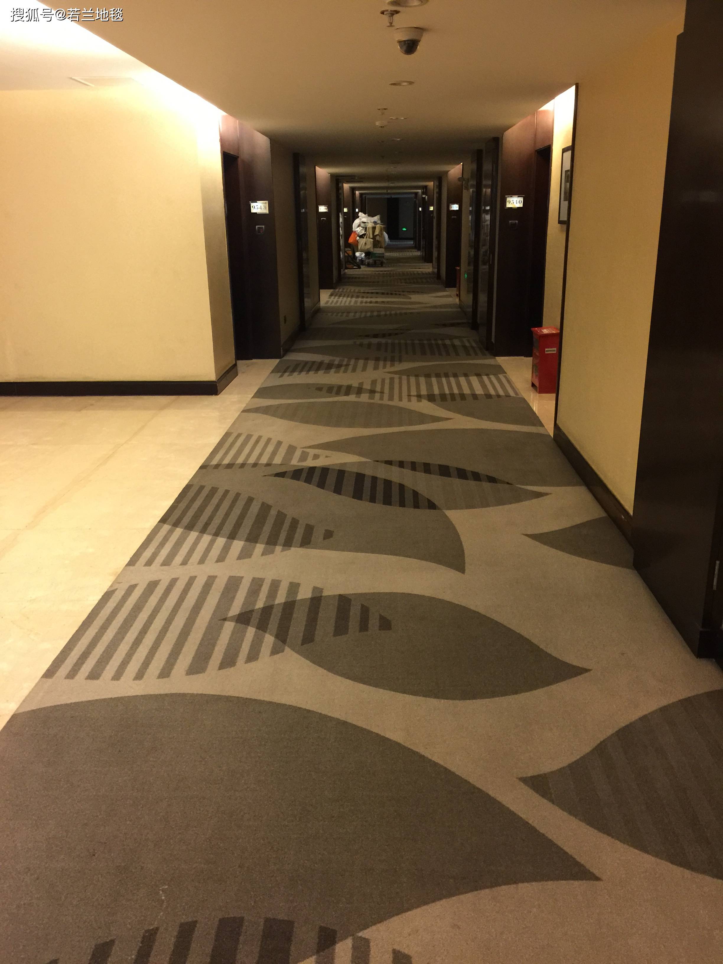 五星级酒店地毯效果图图片
