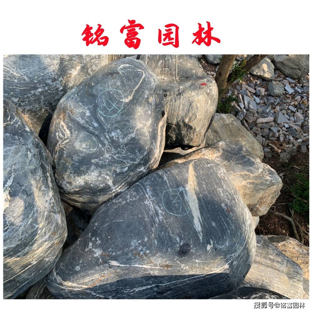 广东假山石价格 泰山石园林石花园点缀 肇庆泰山石庭院假山制作