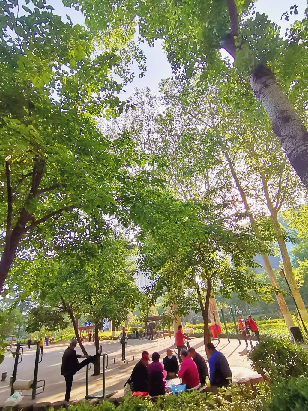 淄博市中心有座满眼青翠的人民公园,环境优雅,江南水乡风韵浓郁