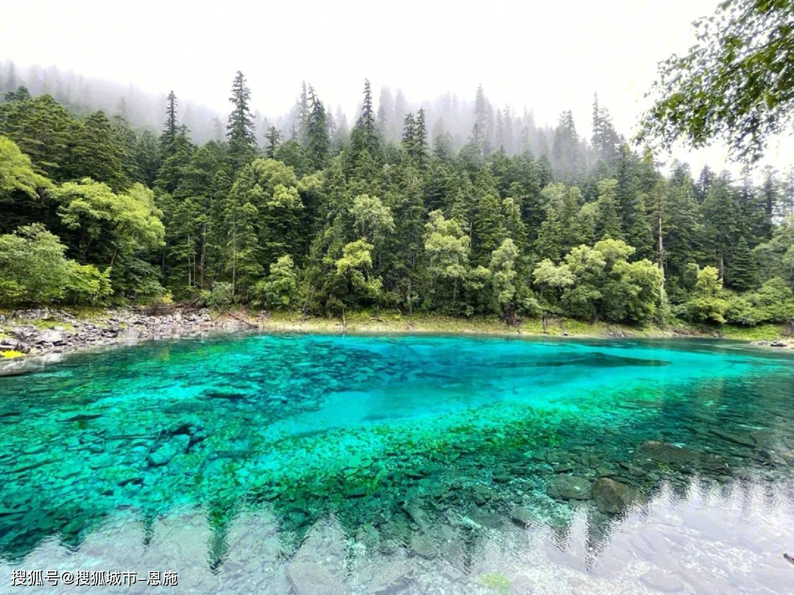 旅行_导游_九寨沟