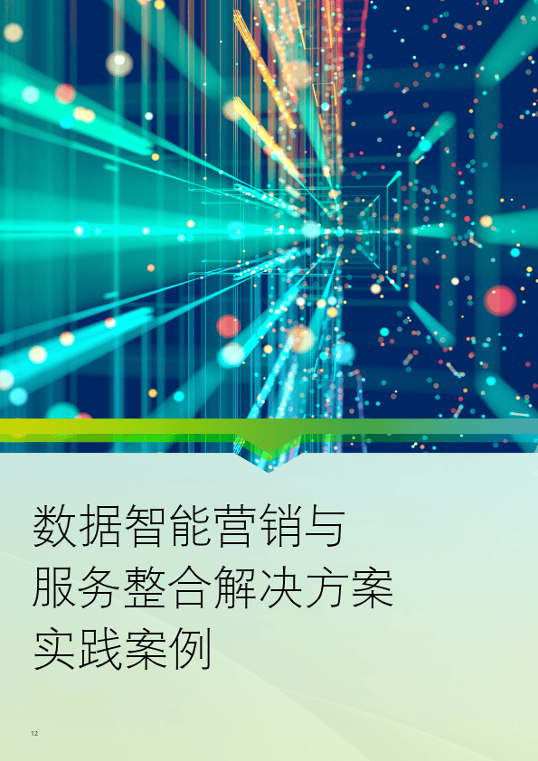 2024数据智能赋能消费者增长的策略与实践分享报告