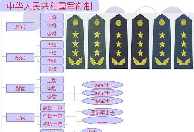 中国55式小口径步枪图片