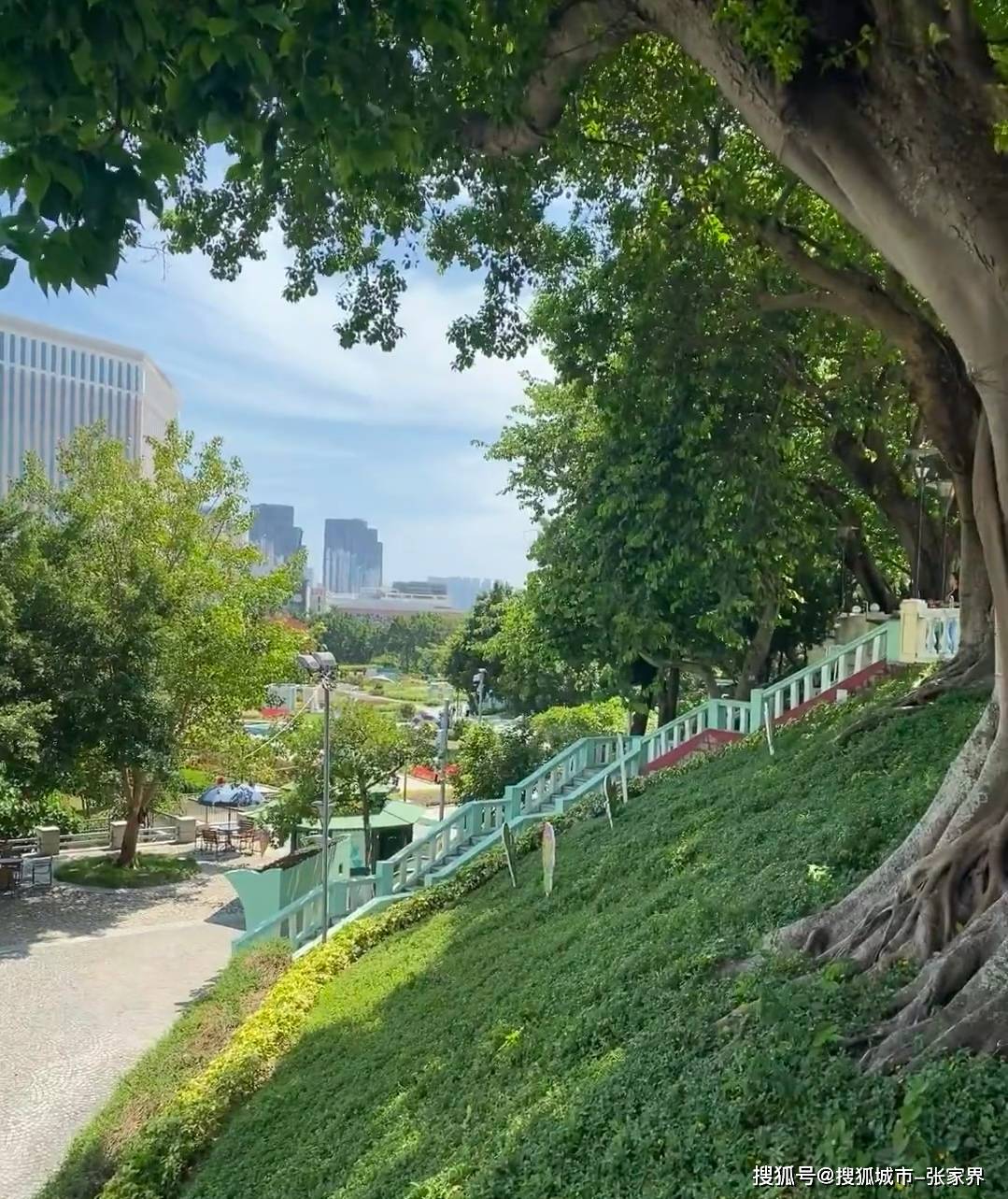 港澳炮台山和金莲花广场行程攻略,港澳旅游怎么玩港澳旅游攻略路线,看