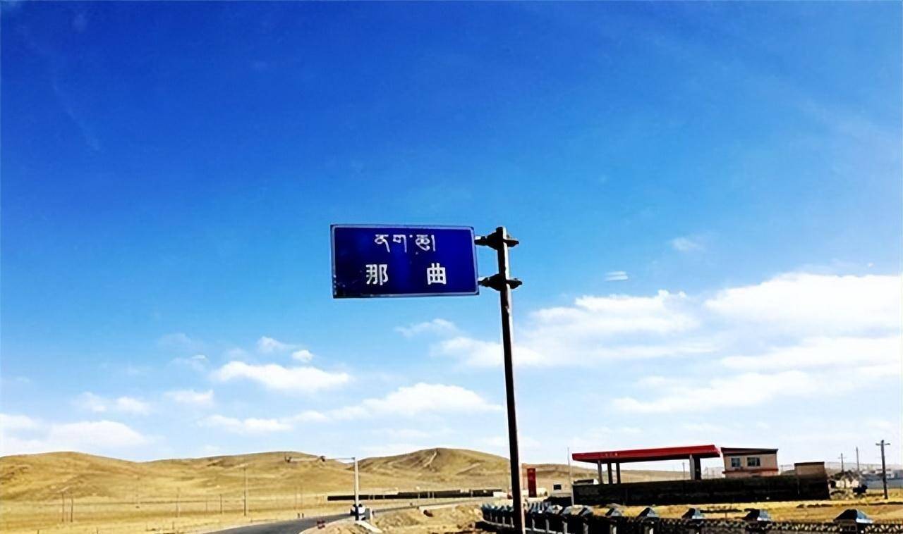 西藏那曲县:种活一棵悬赏30万,为树修建玻璃房,如今怎样了?