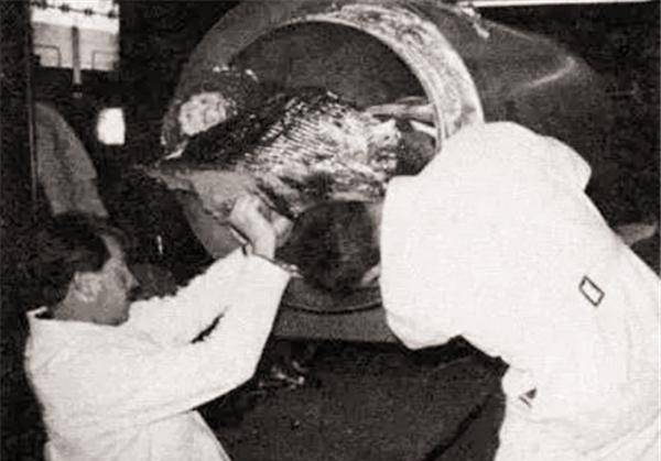 冷冻第一人:富豪贝德福德,原本3年前就该醒来,结果怎么样了?