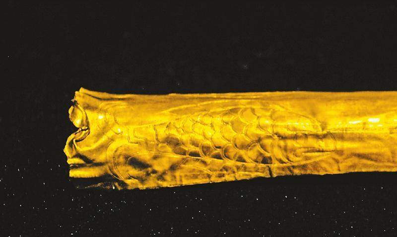 三星堆祭祀坑里的一条鱼?专家说:或许要改写人类历史!