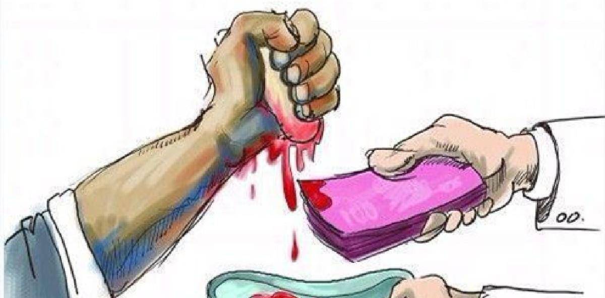 11年前,那个不惜卖掉肾,去买苹果手机的青年,后来怎么样了?