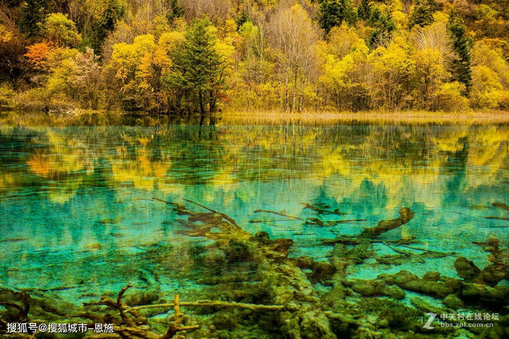 导游_峨眉山_九寨沟
