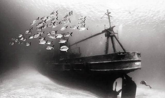 美国告知阿波丸沉船位置,称内有50亿美金财富,中国捞上多少?