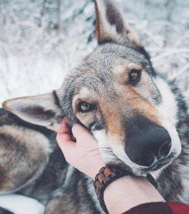 11年前,他为救4名溺水者而牺牲,被救者却趁乱离开,后来怎样?