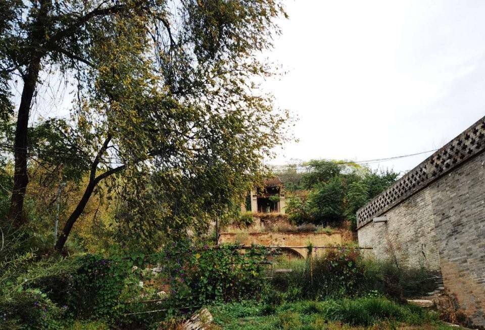 于成龙墓被盗记:墓里竟然摆满了瓷碗,碗里装满松香和白灰