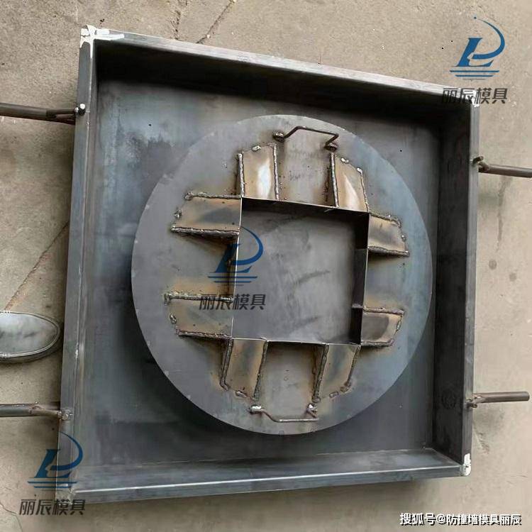 塑料通信井盖模具 丽辰防盗雨水井盖模具