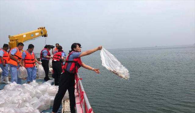 山东蓬莱一黑社会覆灭:长期霸占海域,渔民缴费插旗才能下海捕捞