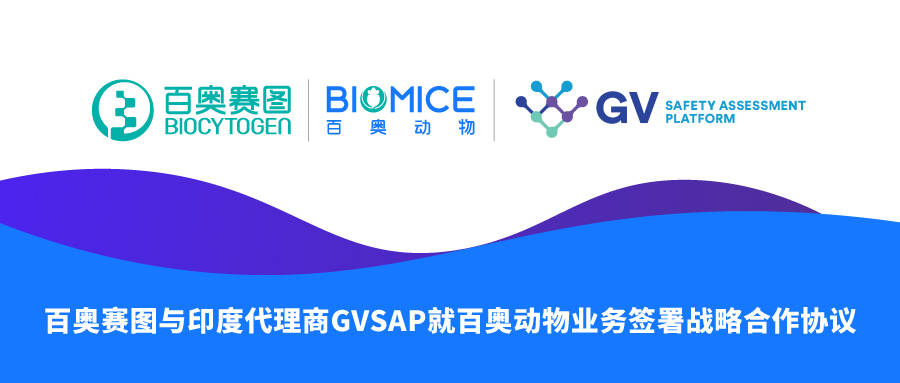 百奥赛图与印度代理商gvsap就百奥动物业务签署战略合作协议