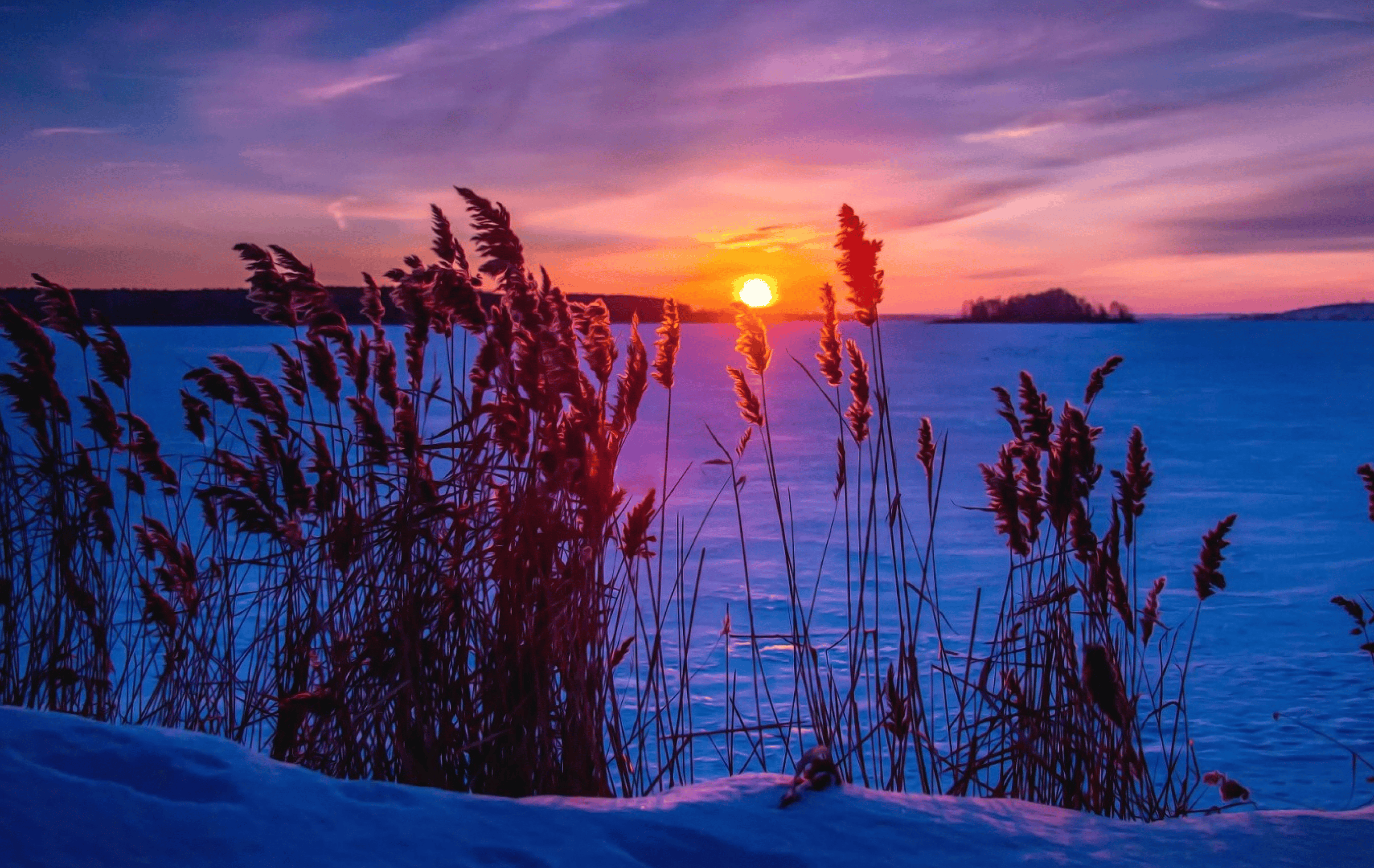 未来三十天财运生肖运势(未来三十年财运最好的生肖女)