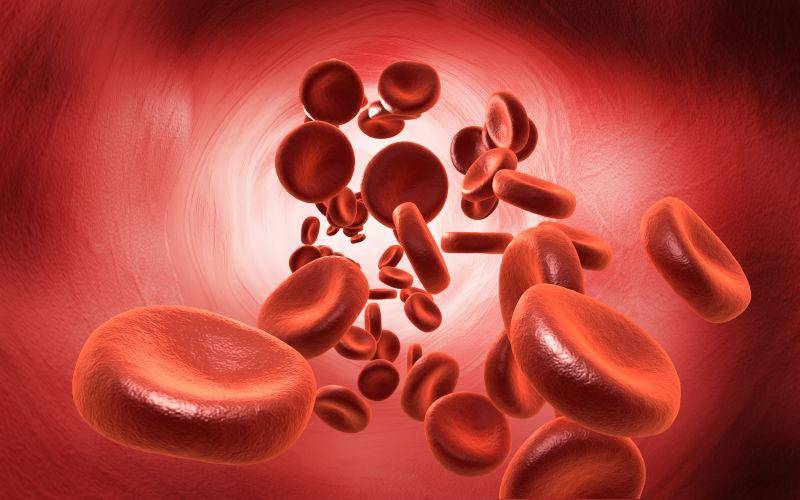 铁也可以作为多种酶的活性中心,体内缺铁后会出现白细胞杀菌能力减弱